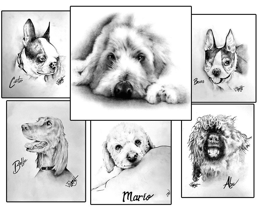 Pet Portraits 