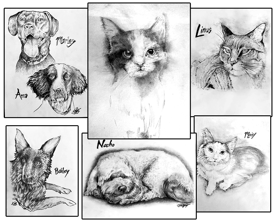 Pet Portraits 