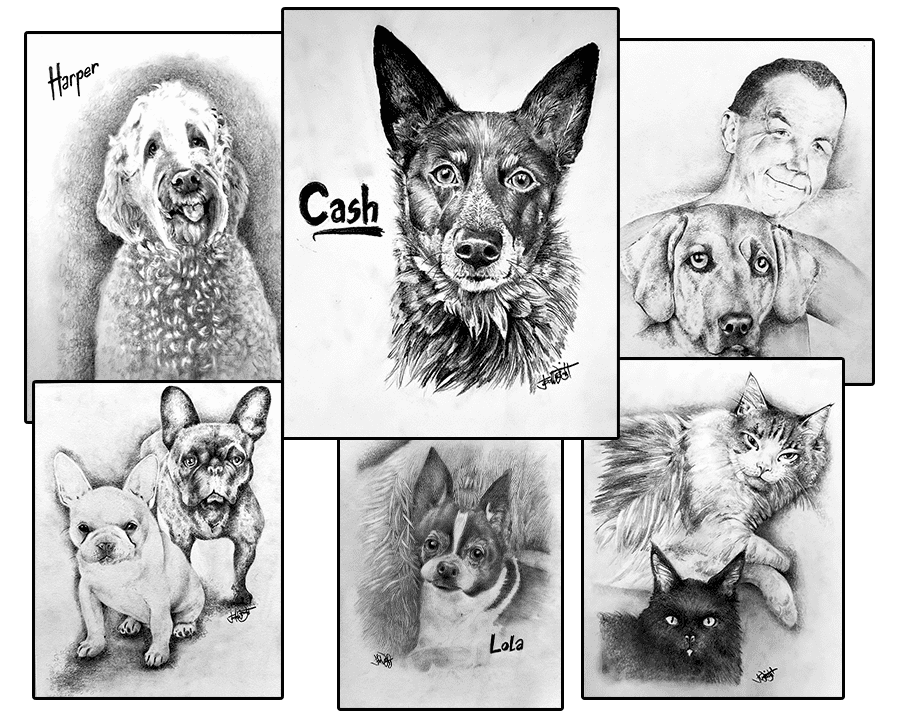 Pet Portraits 